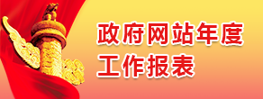 政府網(wǎng)站年度工作報(bào)表